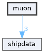 muon